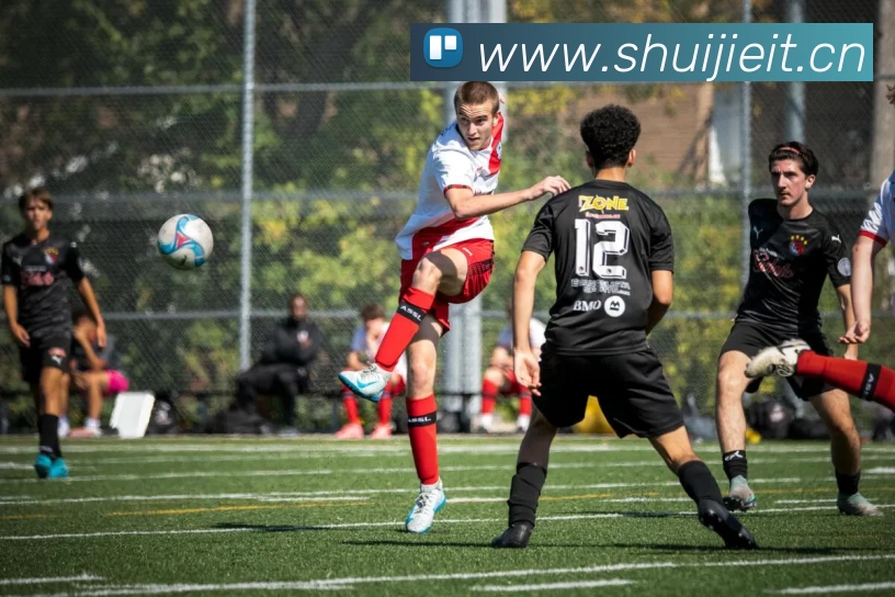 九游网页版直接进入平台生态图